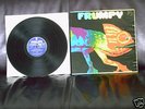 FRUMPY -ALL WILL BE CHANGED PLASTIC BAG GIMMIK LP COVER