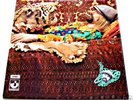 ROY HARPER 'FLAT BAROQUE & BESERK' 1970 LP EX/EX