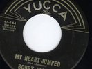 Texas Teen rocker bobby Fuller Yucca 144 2nd record M-