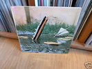 rare prog: Pete Brown & Piblokto Thousands on a raft