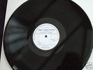 the Moths Lp 1970 Private Pressing excellent con v rare