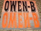 RARE OHIO PRIVATE LABEL PSYCH LP/OWEN-B/ EXCELLENT COND