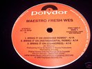 MAESTRO FRESH WES BRING IT ON 12