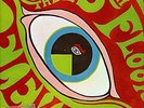 The 13TH Floor Elevators FIRST LP Mono Psych