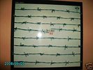 DIES IRAE- First, orig. PILZ, 71 - Perfect Condition