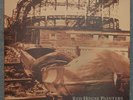 Red House Painters double vinyl LP rollercoaster