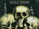 SKULL SNAPS - SELF TITLED - SOUL FUNK LP