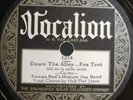 46) 78 RPM TAMPA RED'S HOKUM JUG BAND VOCALION 1254  