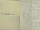 Organum - In Extremis LAYLAH Antirecords  LAY19 LP