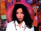 BJORK SUGARCUBES 2008 HEAVYWEIGHT (200GM) VINYL 17 LPS