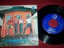 I RAMINGHETTI 45 GIRI 1970 BEAT PROG ITALY PFM BERGAMO