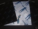 MUSE-ABSOLUTION   RARE 2xLP   MINT