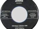 GENE NORMAN & ROCKING ROCKETS Rockabilly  SNAG 45 #101