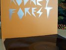 Smegma THE RODNEY FOREST Qbico Delta LP LAFMS ju suk
