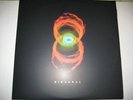 Pearl Jam Binaural LP