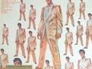 ELVIS PRESLEY LP -50,000,000 ELVIS FANS SEALED ORIGINAL
