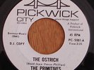 The Primitives 45 pre Velvet Underground Lou Reed VU