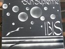 Sun Supreme Ibis Rare Italian Prog Rock Vinyl
