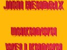 Jimi Hendrix vinyl LP Unknown Wellknown Stardust label