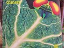 Catapilla Changes Rare UK Vertigo Swirl LP Near Mint