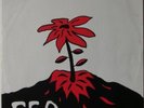 FEO, Eg Meini Ted, DK, Spectator Records Ultra rare