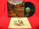 DAVID CHALMERS LOOKING FOR WATER HEAVY PSYCH LP TOP