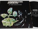 NUOVA IDEA:LP-IN THE BEGINNING-ORIG.ITALY PROG.1971 EX
