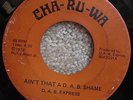 RARE OHIO FUNK 45 - D.A.B. EXPRESS - CHA-RU-WA LABEL