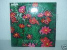 GEN VERDE - Gratitudine - prog Italiano 1977