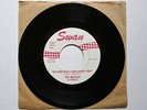 The Beatles Sie Liebt Dich (She Loves You) Swan 45 RPM Record