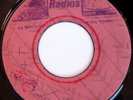 rare Jamaica Reggae Blank 45 SENSATIONS the last time