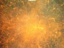 TABACO-DESINTEGRACION LP 1971 RARE EX-EX