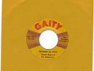 rare Minn garage 45 Howie Butler & Reflections on GAITY