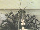 KRAUTROCK-LP-BIRTH CONTROL-OPERATION-ORG.OHR- 1971