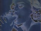 Madonna Erotica 12