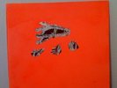 Animal Collective Hollinndagain LP super rare 300 only