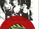 1977 PUNK- THE AVENGERS- WE ARE THE ONE- DANGERHOUSE-NM