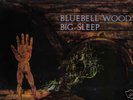 BIG SLEEP BLUEBELL WOOD RARE PEGASUS  LP PROG FOLK ROCK