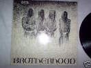 DYS-BROTHERHOOD, ORG ON X-CLAIM. BOSTON STRAIGHT EDGE