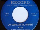 rare Garage Psych Rock 45 NAZZ Alice Cooper Listen