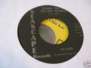 The Endd-45-Seascape # 504-Indiana Garage-Psych-Fuzz NM