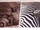 KIN PING MEH : NO. 2, RARE VINYL LP 1972 ZEBRA