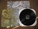 CIRCLE TAKES THE SQUARE as the LP Pg 99 Ampere Orchid