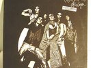 ALICE  COOPER - LP 