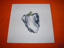 Ween White Pepper White LP Vinyl Rare OOP (Eels)