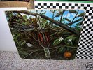 DRAGONFLY-RARE OR.MEGAPHONE KILLER PSYCH FUZZ DG LP