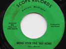 SOULETTES  FINE SELF RARE DETROIT NORTHERN SOUL 45 HEAR