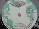 FRANKIE WILMOT Sensimilla BOOM TUNE Oneness LISTEN