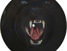 David Bowie CAT PEOPLE US PROMO Picture DISC Vinyl 7