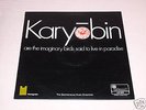THE SPONTANEOUS MUSIC ENSEMBLE - Karyobin. LP. N.MINT